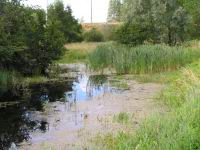 Selles sur Cher - Etang